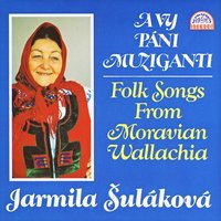 Hore Potůčky - Jarmila Šuláková & Folk Song & Miroslav Hlosta & Cimbálová muzika Technik