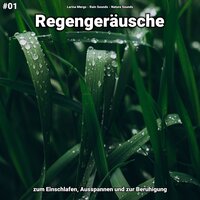 Regengeräusche, pt. 84 - Larina Mergs & Rain Sounds & Nature Sounds