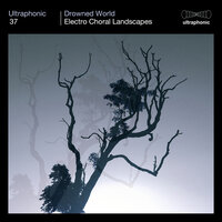 Body of Lines - Ultraphonic