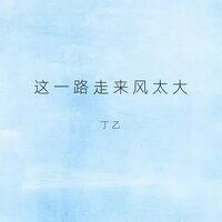 这一路走来风太大 - 丁乙