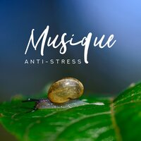 Touche de guérison - Musique Douce Academy