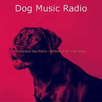 Urbane Ambiance for Puppies - Dog Music Radio