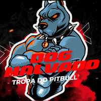 Tem Mó Cara de Bandido - Dog Malvado & Boy do Médio & MC THAY RJ