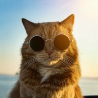 Flotar Junto Al Ritmo - Sabor dulce & Banda Sonora para Gatos & Sonidos costeros