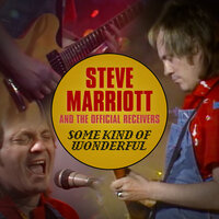 Mother in Law - Steve Marriott