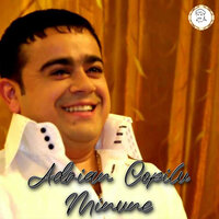AN DE AN VARĂ DE VARĂ - Adrian Copilul Minune