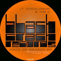 Voice Of Reason - JT Donaldson & Tim K