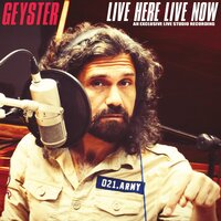 1982 - Geyster