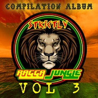 Full Of Stylee - Ragga Stevie G & Dj Stp