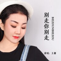 别走你别走 - 王馨