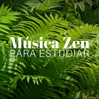 Música para Relajarse - Relajación y Serenidad
