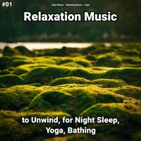 Relaxation Music Pt. 7 - Calm music & Relaxing music & Yoga