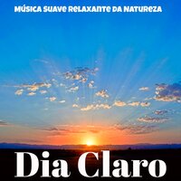 Meditação Chakras - Felicia Chakra