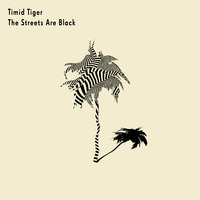 Every Time We Talk - Timid Tiger