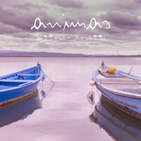 Animas - Beppe Dettori & RAOUL MORETTI & Daniela Pes & Max Cossu