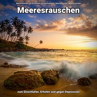 Gegen Tinnitus - Meeresrauschen zum Einschlafen und Durchschlafen & Naturgeräusche & Meeresrauschen