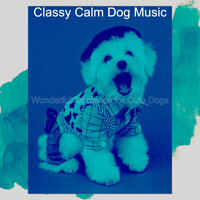 Glorious Backdrops for Calming Pups - Classy Calm Dog Music