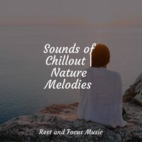 Quiet Serenity - Zarobi & Meditation & Stress Relief Therapy & Schlaflieder Für Kinder
