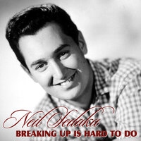 You Mean Everything to Me - Neil Sedaka