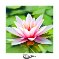 Audio Sough - Relax Music Therapy