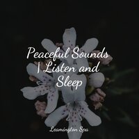 Mindful Waters - Sounds Of Nature : Thunderstorm, Rain & Yoga Trainer & Kundalini: Yoga
