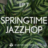 Melt - Espresso Tempo