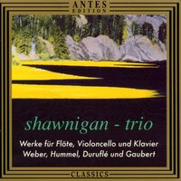 Johann Nepomuk Hummel: Trio op. 78 - Thema, Quasi Allegretto Variationen I-VII - Shawnigan-Trio & Mathias von Brenndorff & Mario Blaumer & Charles Foreman & Иоган Непомук Гуммель