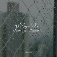 In the Forest - Ambient Music Therapy & Water Soundscapes & Pro Sound Effects Library