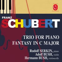 Fantasia in C Major, Op. 159, D. 934: I. Andante molto - Rudolf Serkin & Adolf Bush & Hermann Bush & Rudolf Serkin, Adolf Bush, Hermann Bush & Франц Шуберт