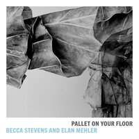 But Beautiful - Becca Stevens & Elan Mehler