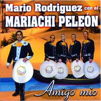 Piel Romántica - Mariachi Peleón & Mario Rodriguez