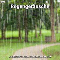 Regengeräusche, pt. 42 - Regen zum Einschlafen & Regengeräusche & Naturgeräusche