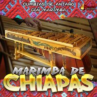 Enfermo de Amor - Marimba De Chiapas