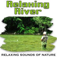 The Constant Flow of the River Relaxes Your Mind and Rests Your Soul - Relaxing Sounds of Nature