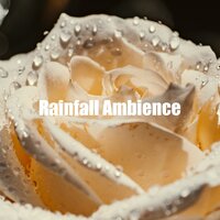 Rainfall Ambience - Clear Mind Raining