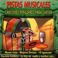 Mi Destino Fue Quererte - Los Caminantes