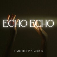 Wiser - Timothy Babcock