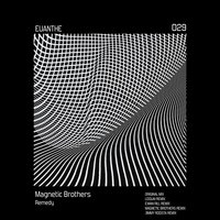 Remedy - Magnetic Brothers