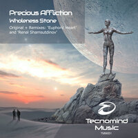 Wholeness Stone - Precious Affliction