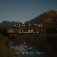 Hush Lullaby - Exam Study Classical Music Orchestra & The Relaxing Sounds of Swedish Nature & The Relaxation Principle