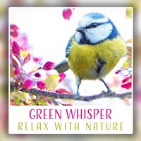 Happy Day - Calm Singing Birds Zone