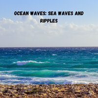 Focus Time - The Nature Soundscapes & Ocean Sounds & Miracle Tones