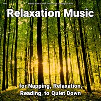 Relaxation Music Pt. 50 - Relaxing Music by Finjus Yanez & Yoga & Relaxing Spa Music