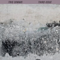 Suspension - Trio Sowari & Burkhard Beins & Phil Durrant & Bertrand Denzler