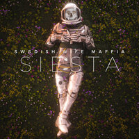 Mafia - SWEDISH WIFE MAFFIA