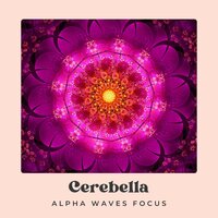 Delta Waves - Alpha Waves Focus