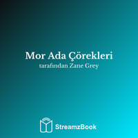 Bölüm 3 - Amber Springs - 7 - Zane Grey & StreamzBook Türkçe & StreamzBook Macera Türkçe