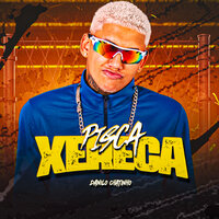 Pisca Xereca - Danilo Chatinho & Vilao no beat