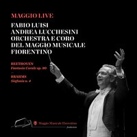 Sinfonia No. 4: 1. Allegro non troppo - Иоганнес Брамс & Fabio Luisi & Orchestra Del Maggio Musicale Fiorentino