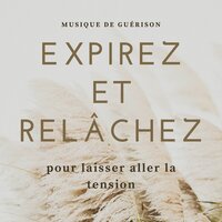 Laisser aller la tension - Camille Enyal